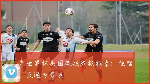 年世界杯美国观战终极指南：住宿、交通与景点